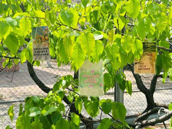 微信图片_20250426164315